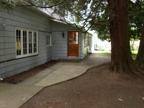 Lower level fireplace
